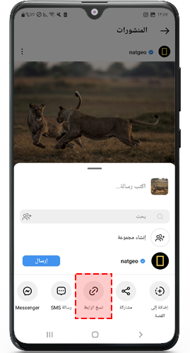 نسخ الرابط