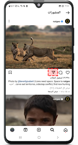 مشاركة صورة الانستقرام