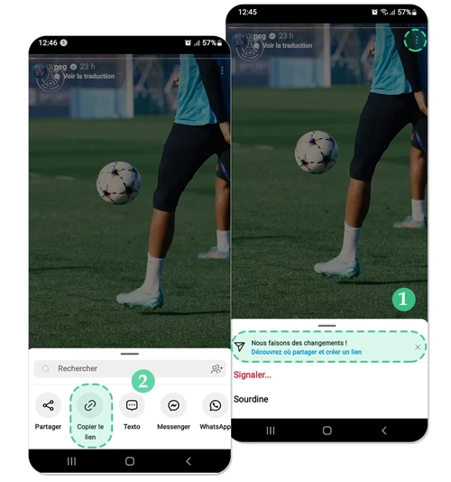 Télécharger Story et Highlight Instagram En ligne, Gratuit