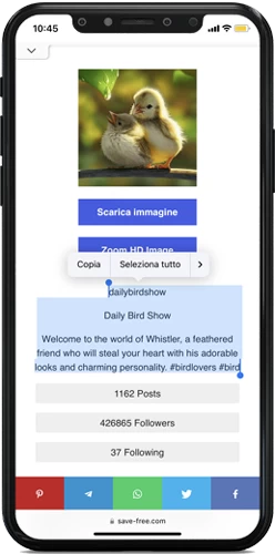 Scarica immagine del profilo - Scaricare foto profilo Instagram