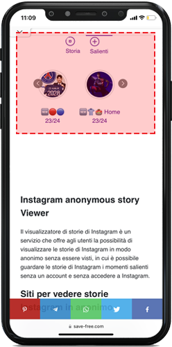 Visualizzatore-di-storie-Insta.png