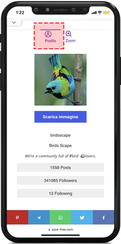 scarica-immagine-1.png