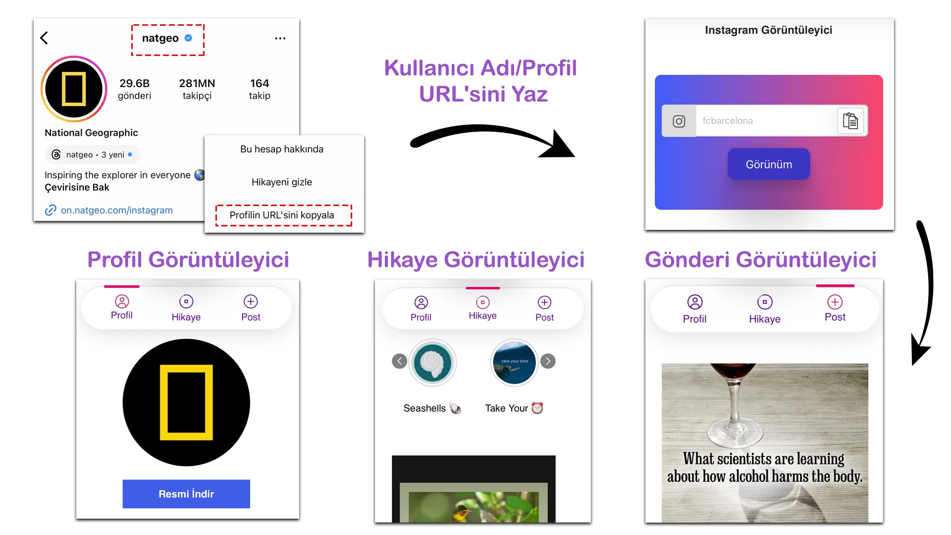 Instagram Görüntüleyici