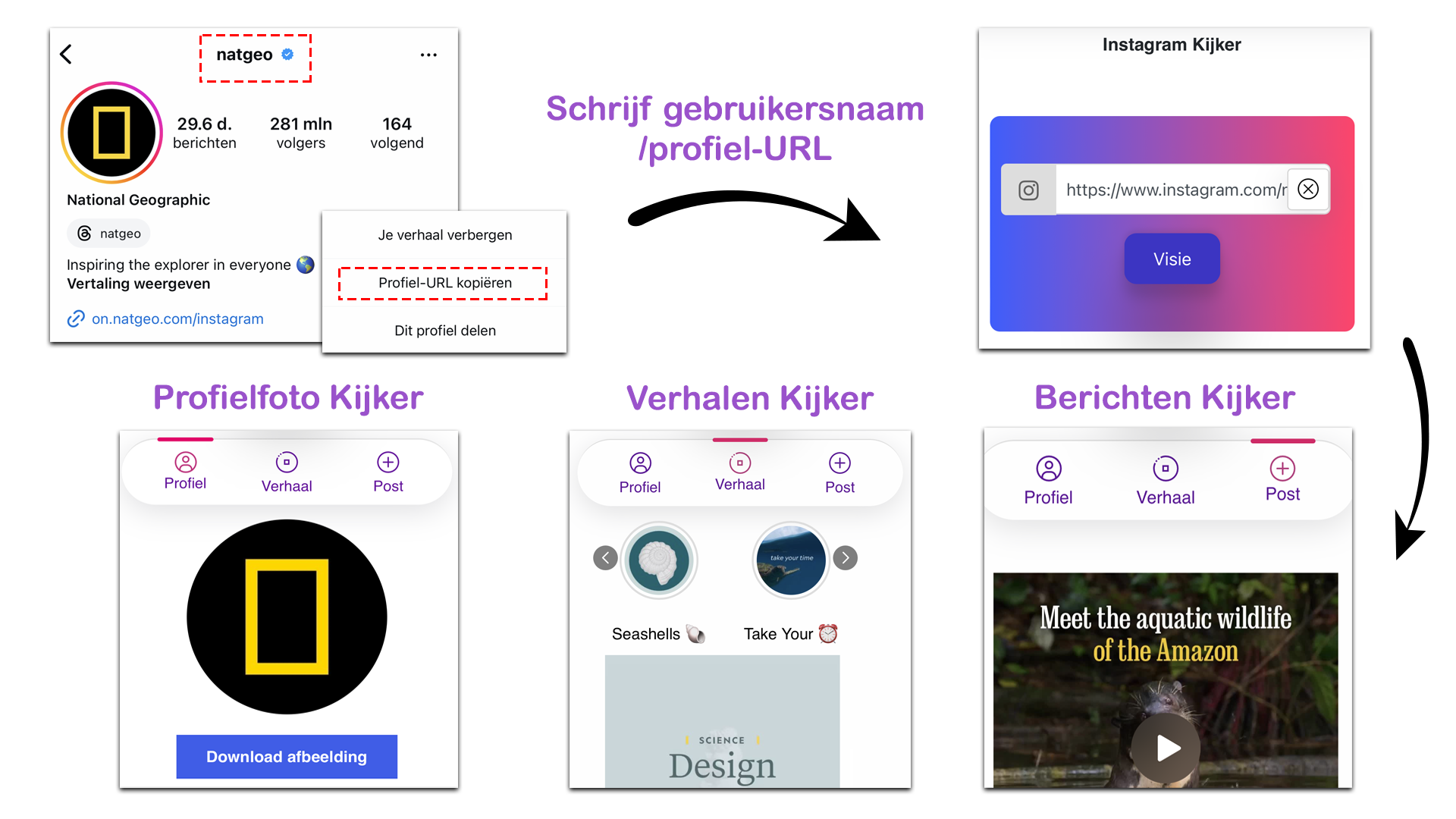 Instagram Kijker