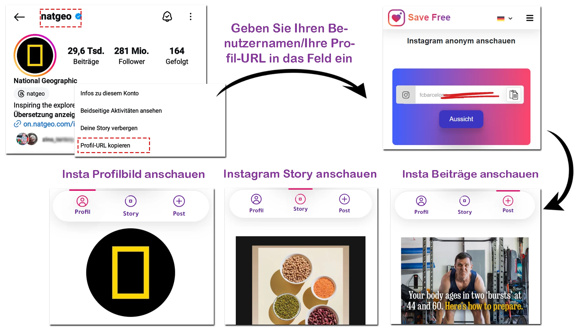 insta viewer