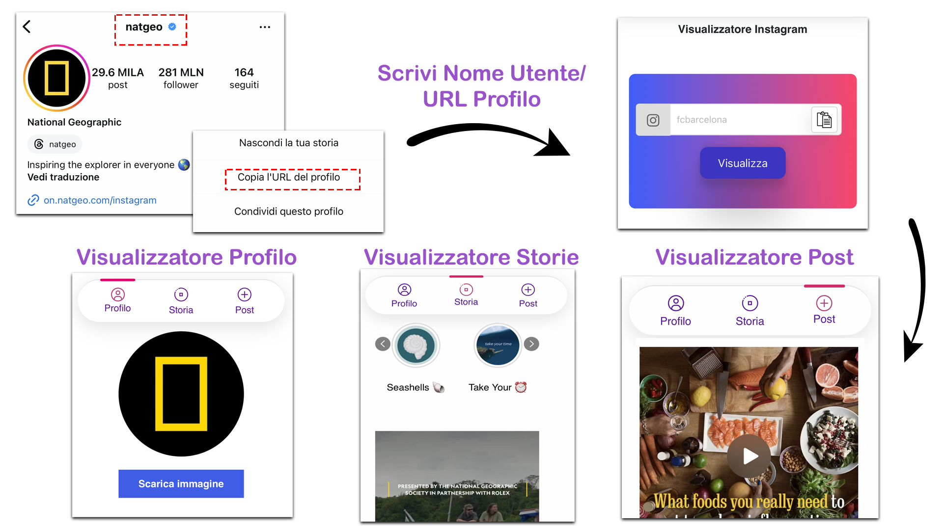 Visualizzatore instagram