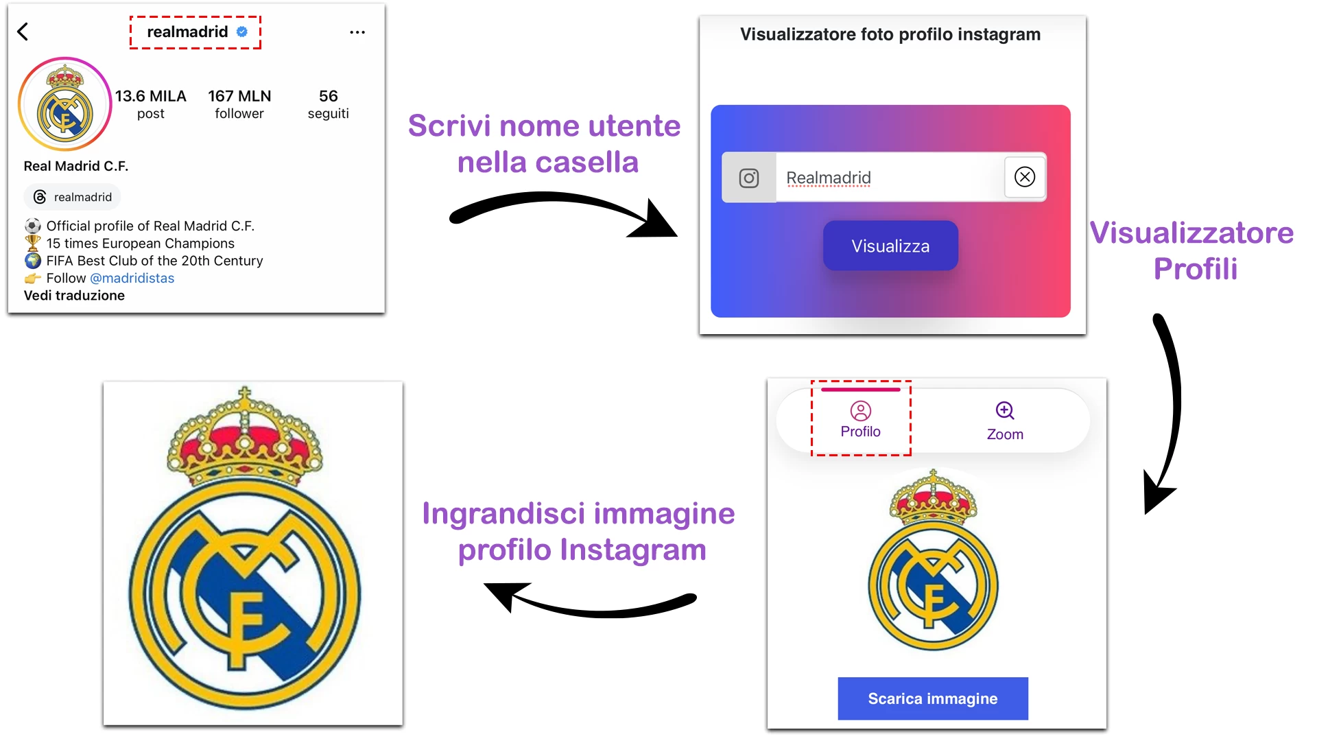 Visualizzatore profili