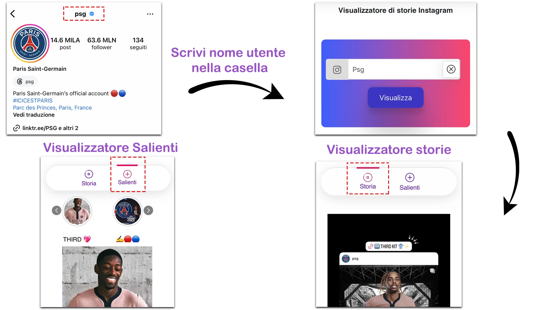 Visualizzatore storie
