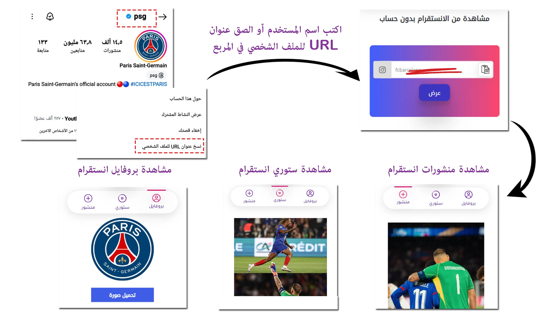 المشاهدة من الانستقرام