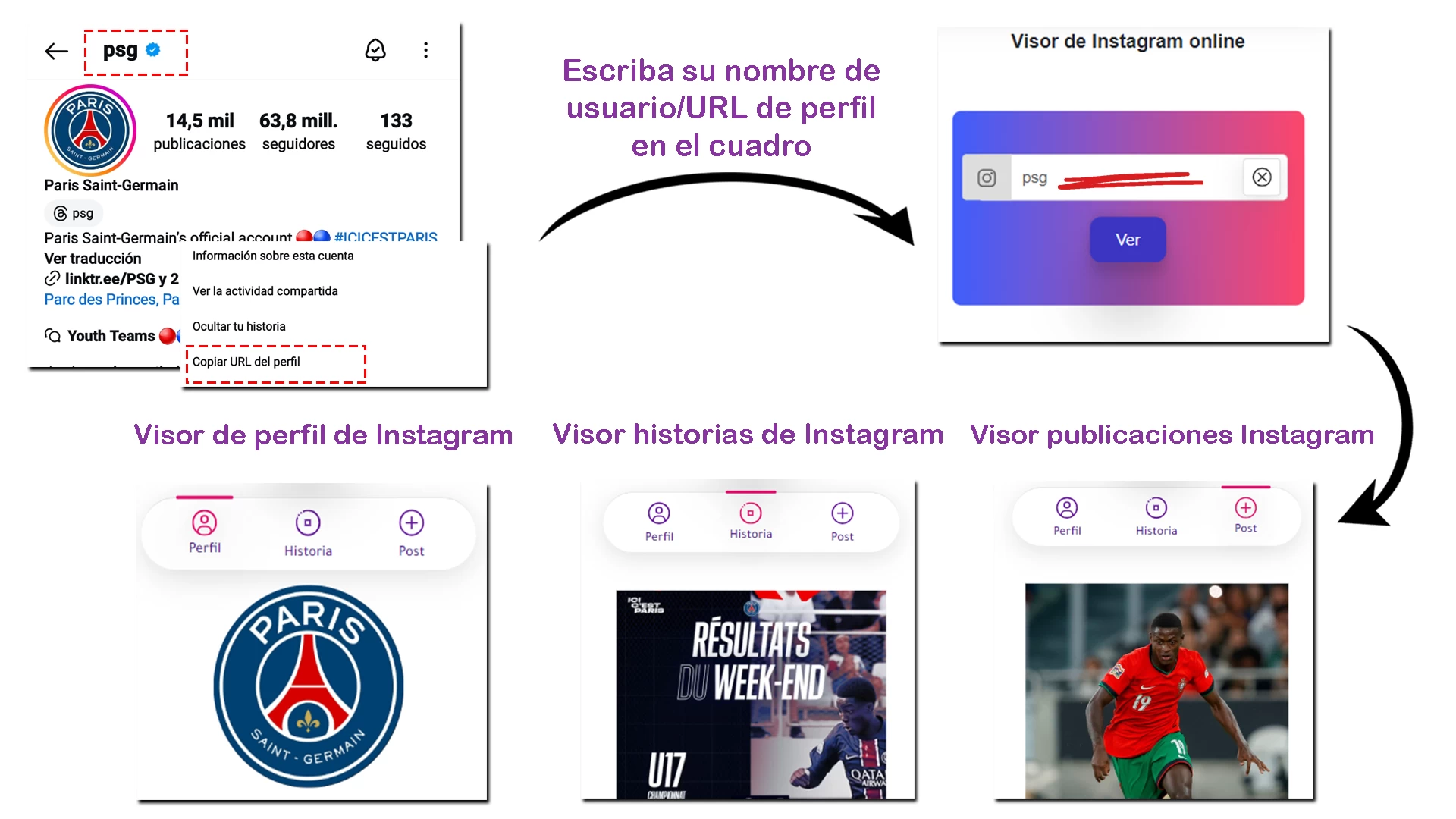 Visor de Instagram