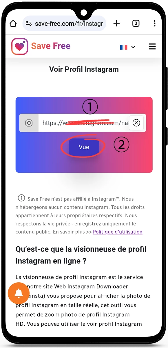 Voir Profil Instagram Photo Insta en Grand Taille Réelle