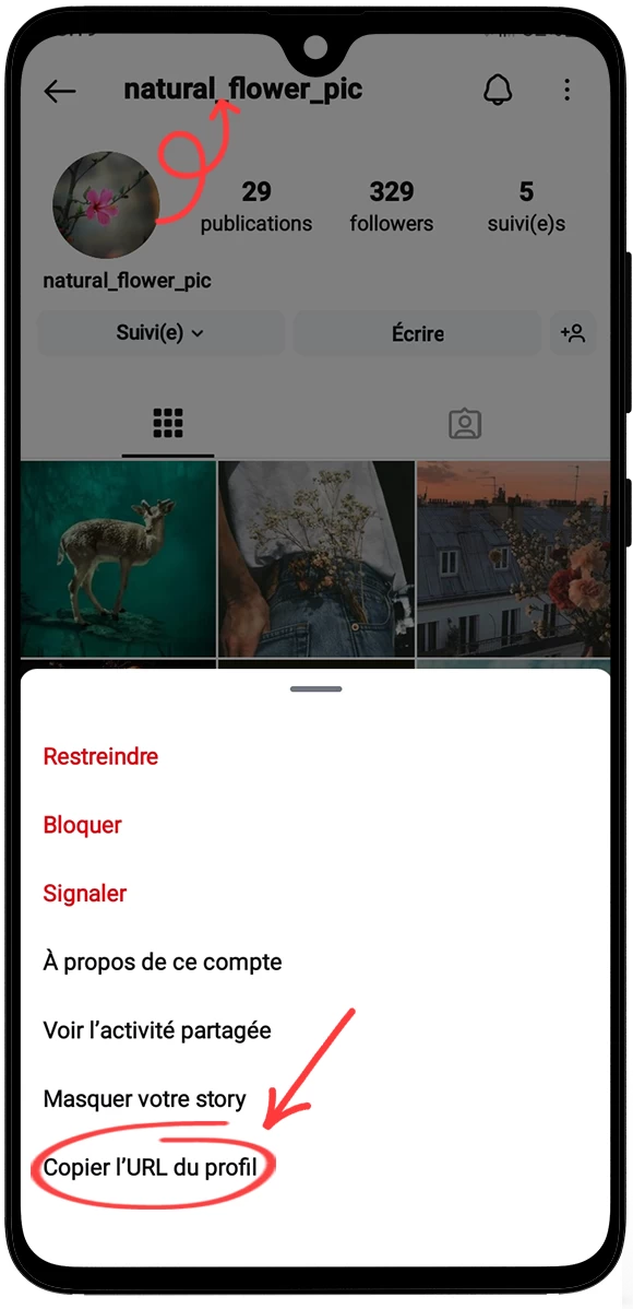 Voir Profil Instagram Photo Insta en Grand Taille Réelle