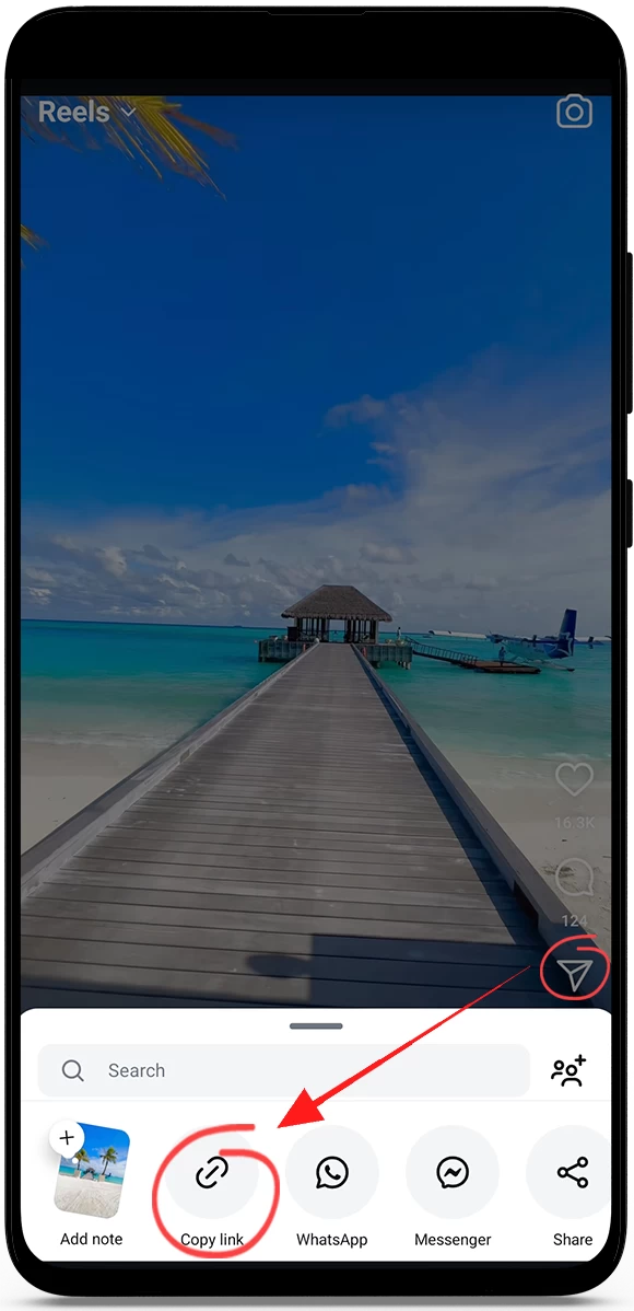 Instagram Reels Video Download Online Instagram Downloader