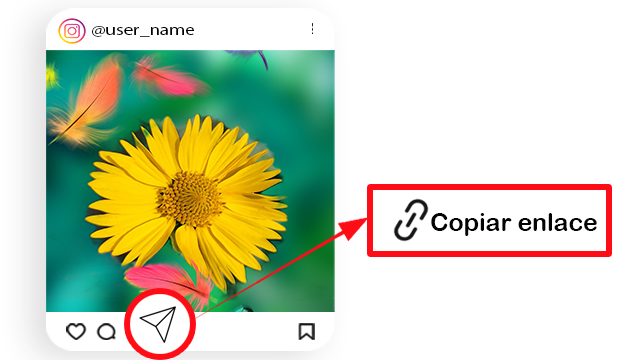 Copiar enlace