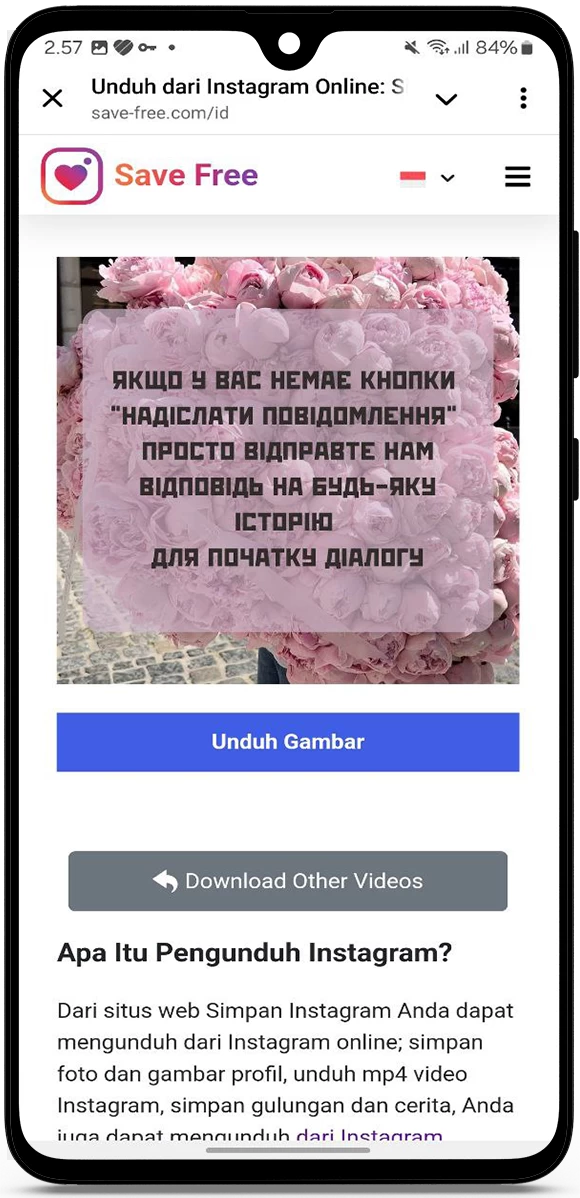 Bagaimana menyimpan video di IG ke galeri