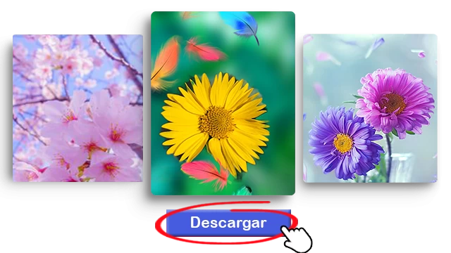 Descargador de Instagram