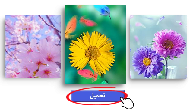 التحميل من انستقرام