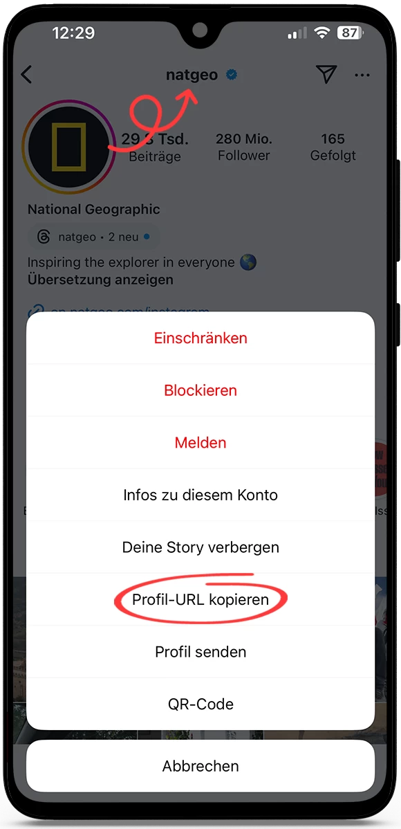 InstaZoom Instagram Profilbild Vergrößern insta zoom