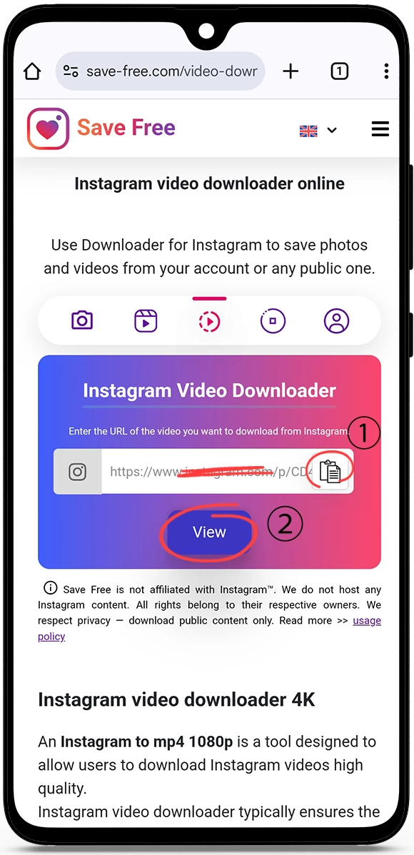 Instagram Video Downloader MP4 Online Free Save Insta