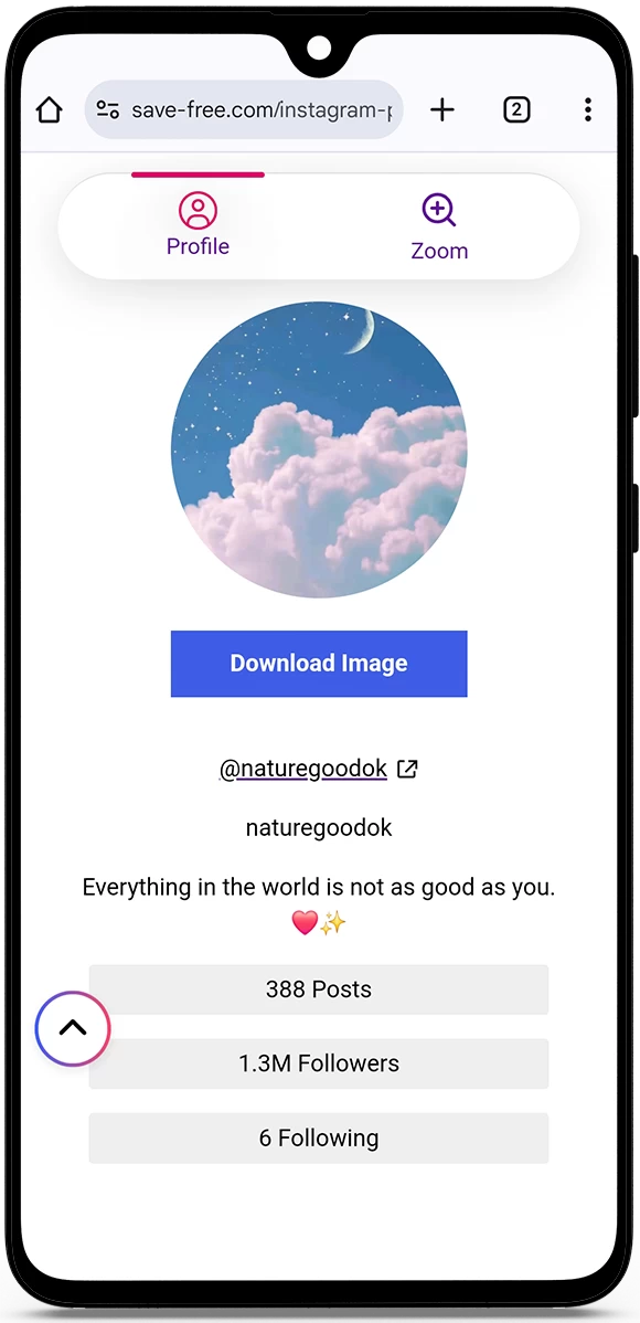Phóng To Ảnh Hồ Sơ Instagram