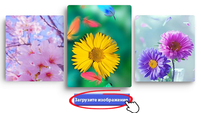 Скачать с помощью Save insta