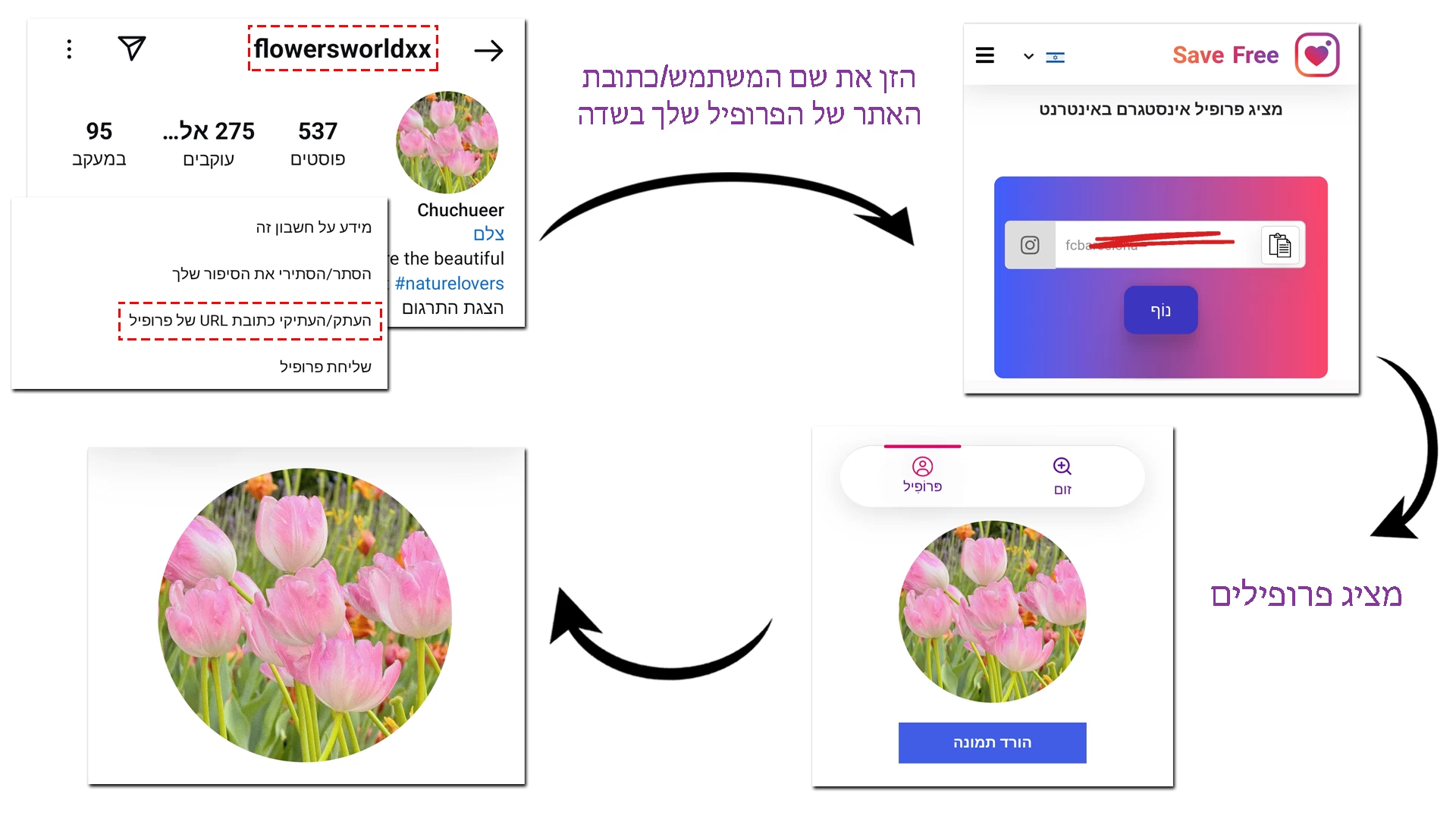 הגדל את תמונת הפרופיל באינסטגרם