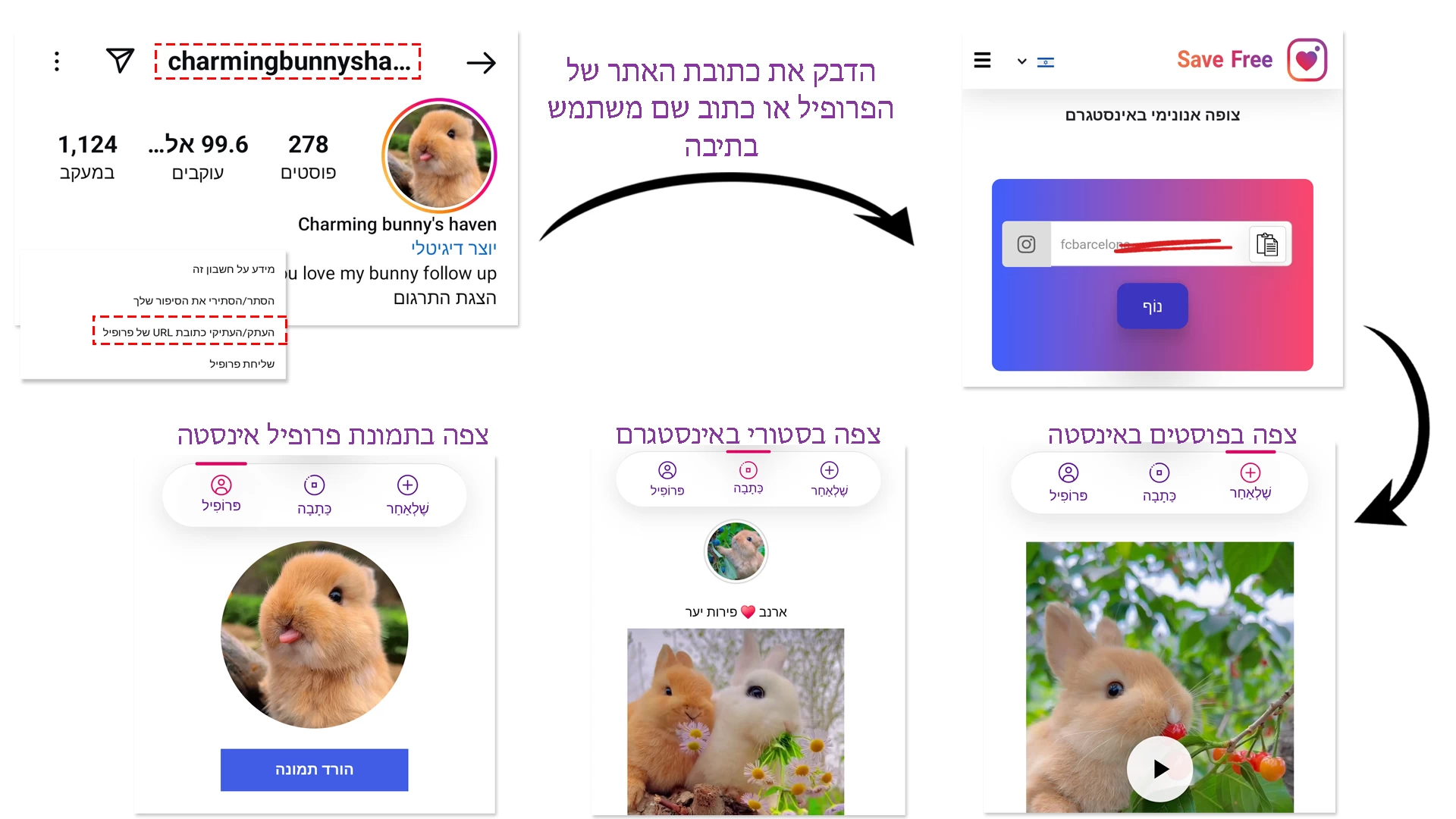 לראות אינסטגרם ללא חשבון