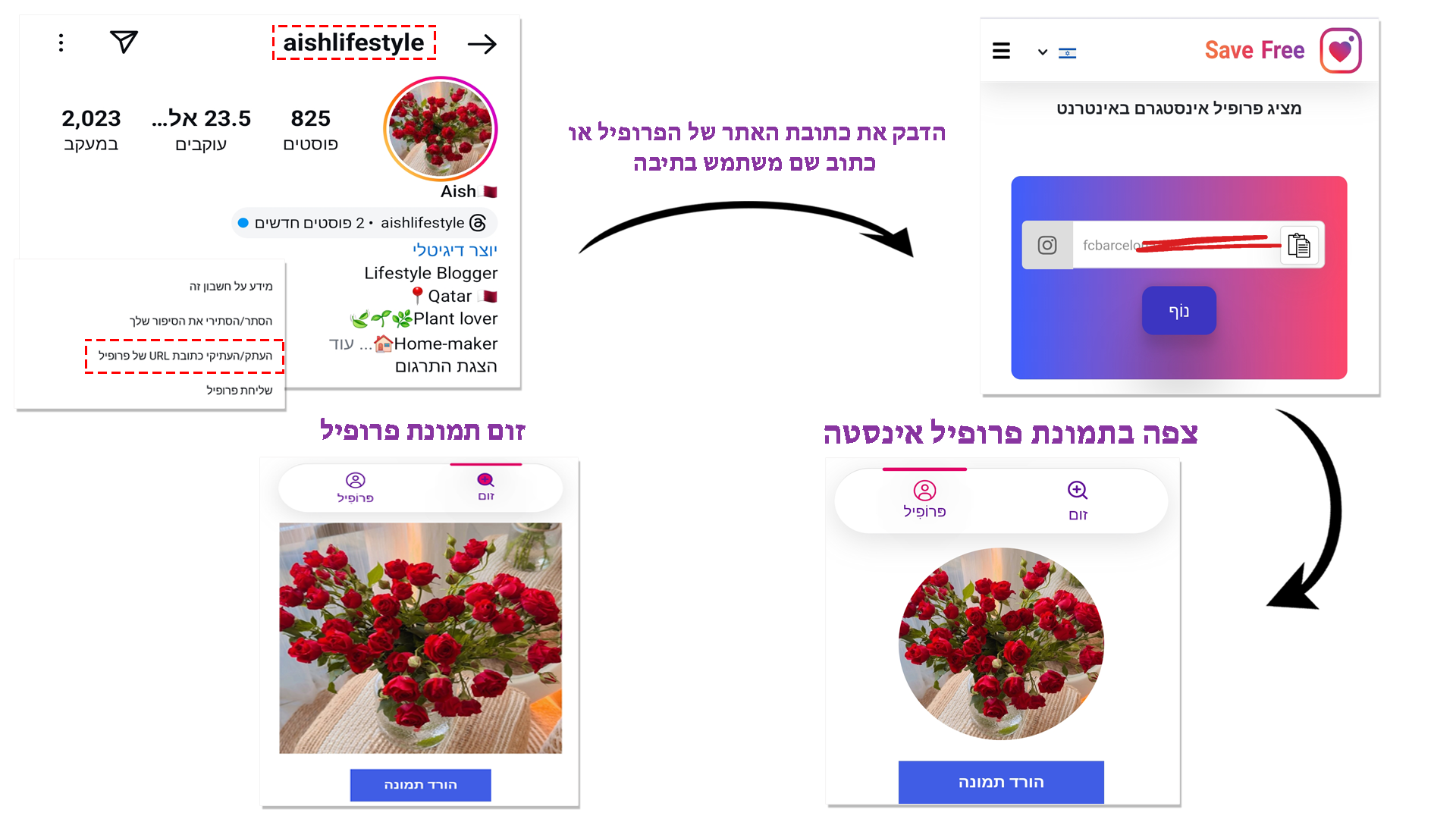 Insta DP מציג