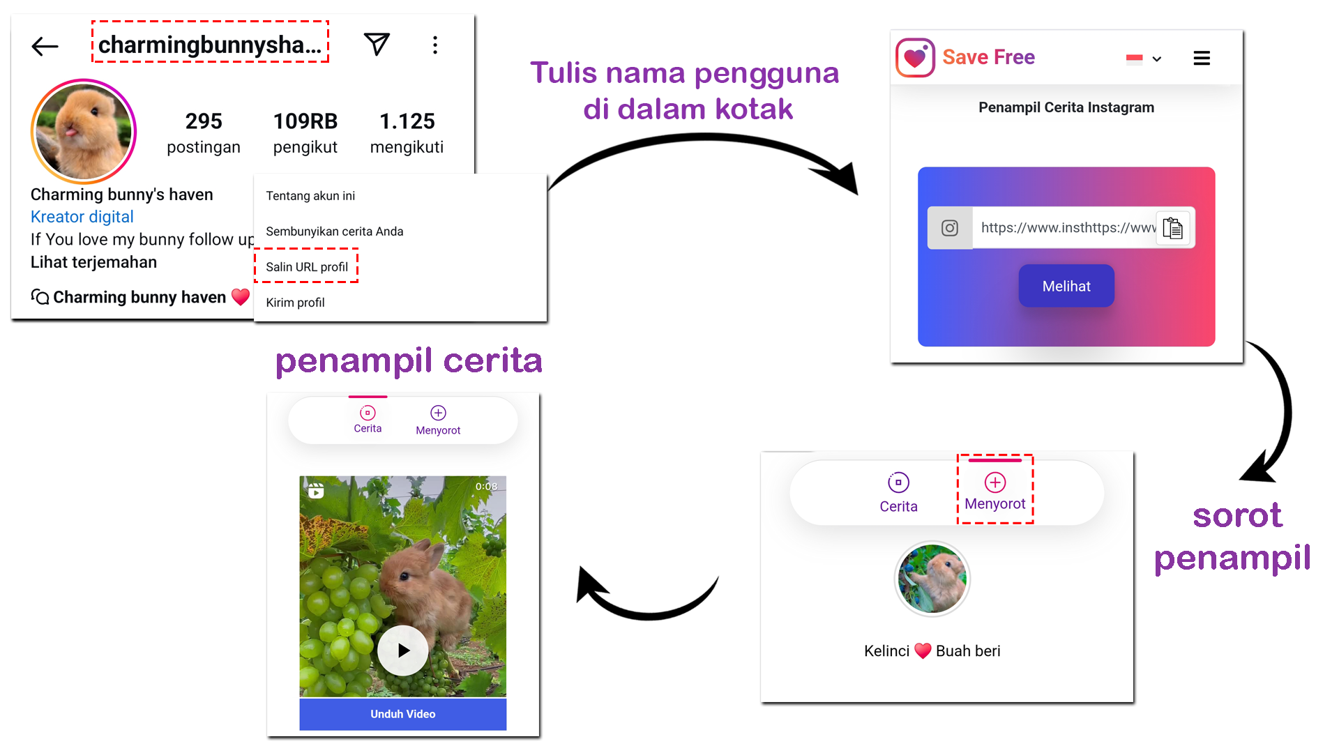 Lihat cerita Instagram HD