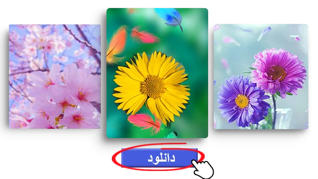 دانلود از اینستاگرام