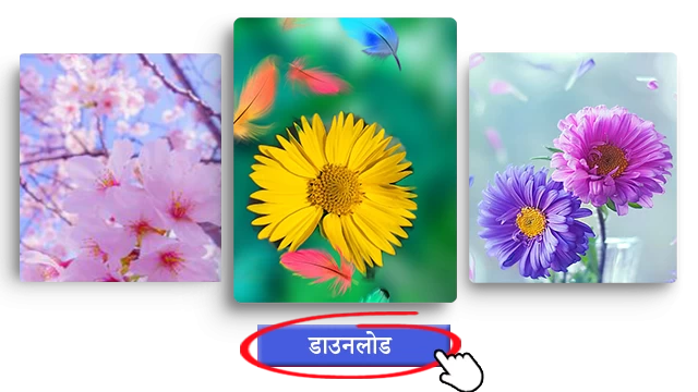 इंस्टाग्राम डाउनलोडर