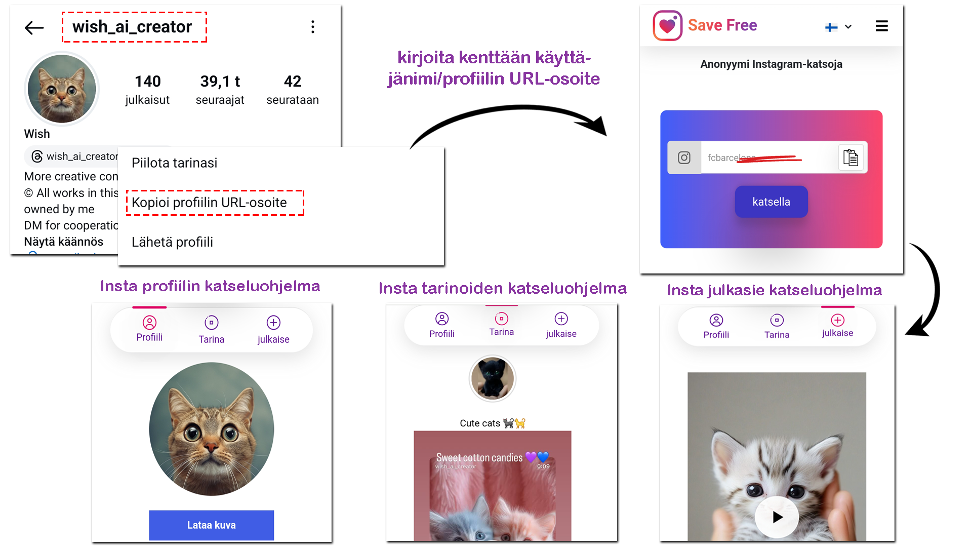 Instagram-katseluohjelma