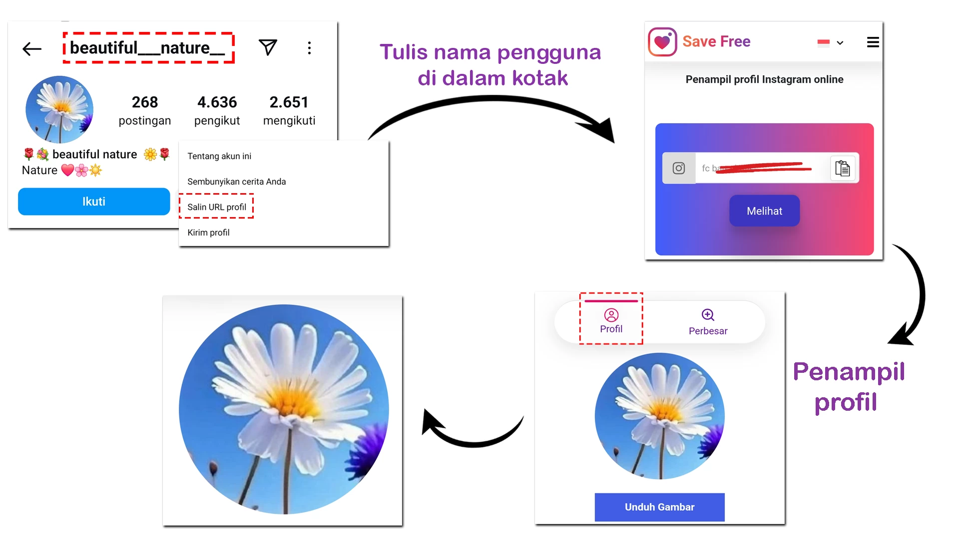 Penampil DP Insta
