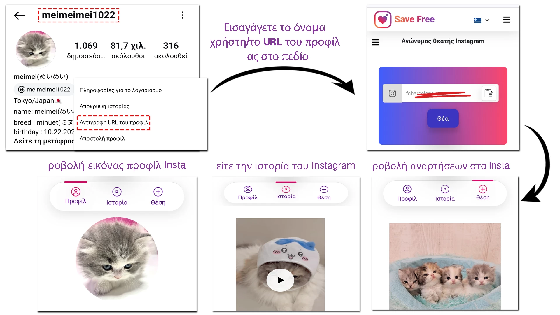 Προβολή προφίλ Instagram