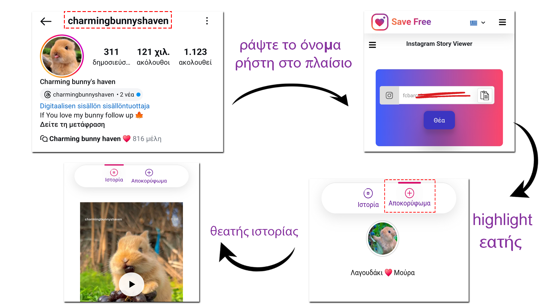 δείτε τις ιστορίες Instagram έναν λογαριασμό