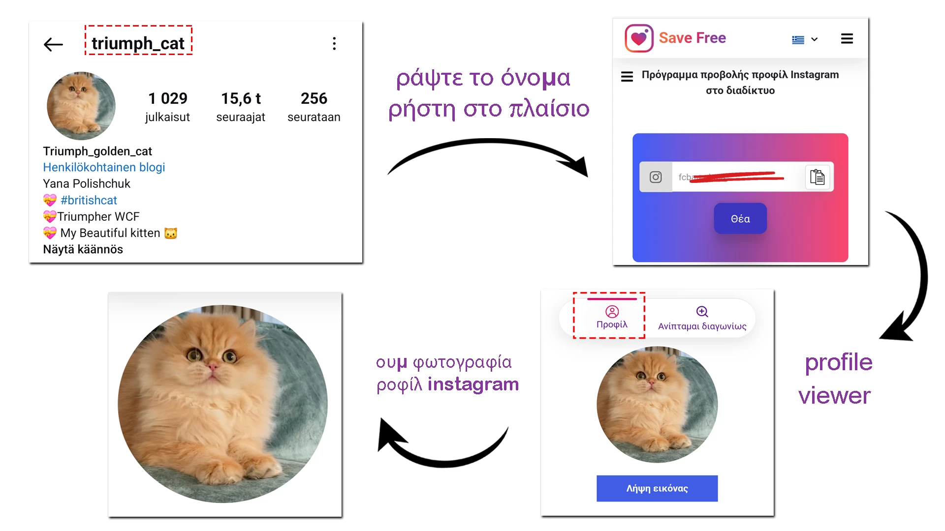 πρόγραμμα προβολής προφίλ