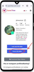 zoom profile