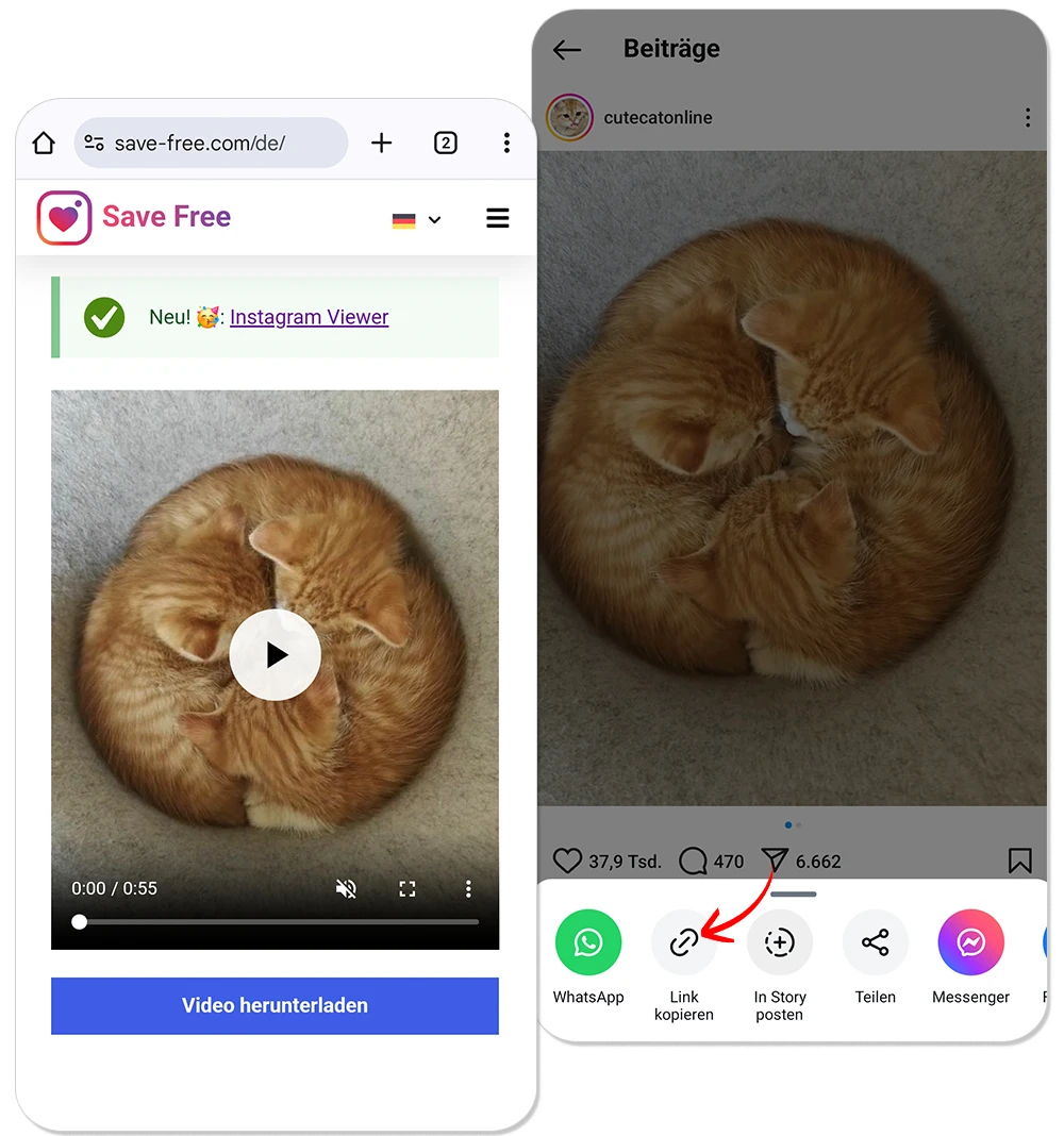 Wie kann ich ein Video von Instagram Herunterladen?